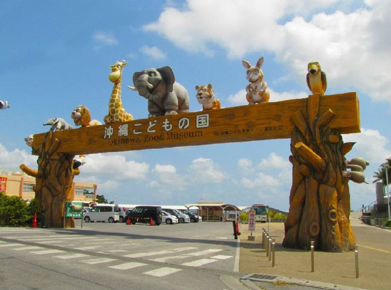 Okinawa Churaumi TokuToku Pass - image 9