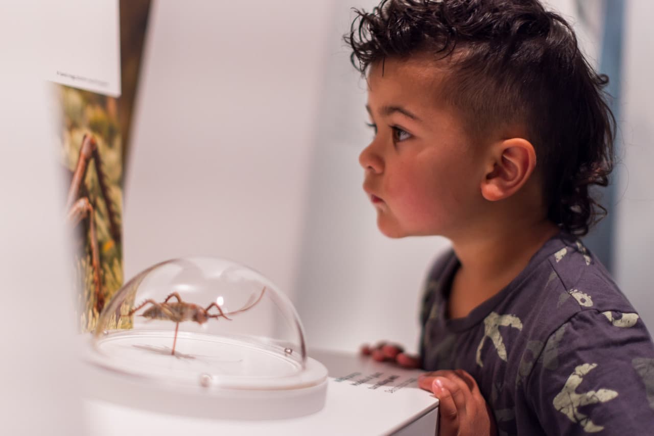 Paparoa Experience Ticket - image 2